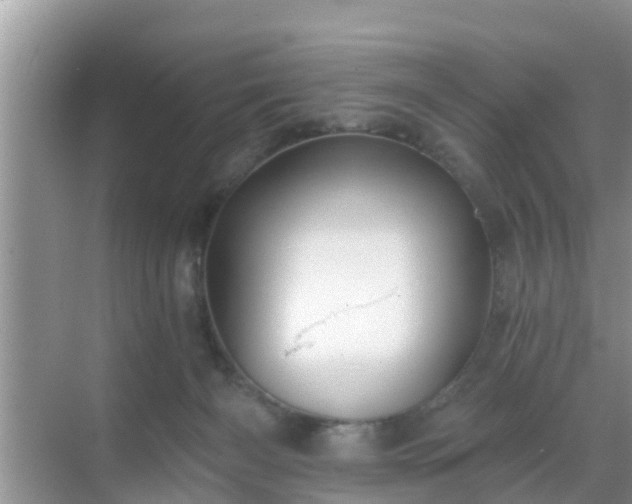 X0000069840126200605261917