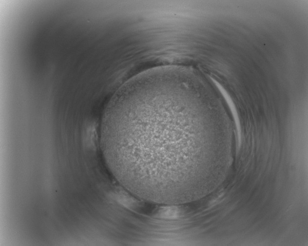 X0000069840127200605261917