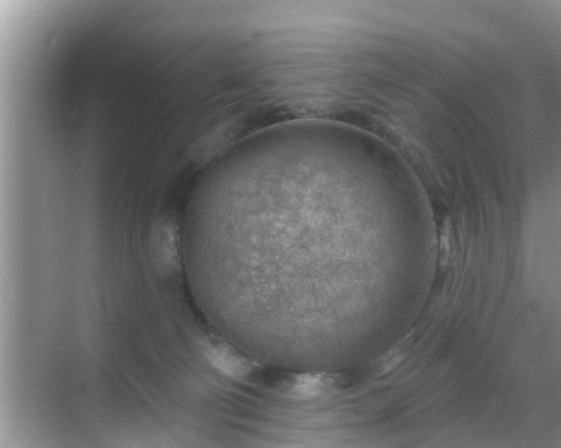 X0000069840130200605261917