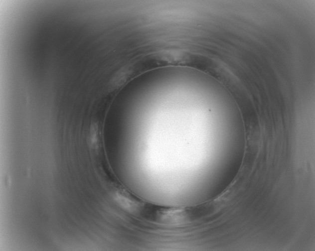 X0000069840132200605261917