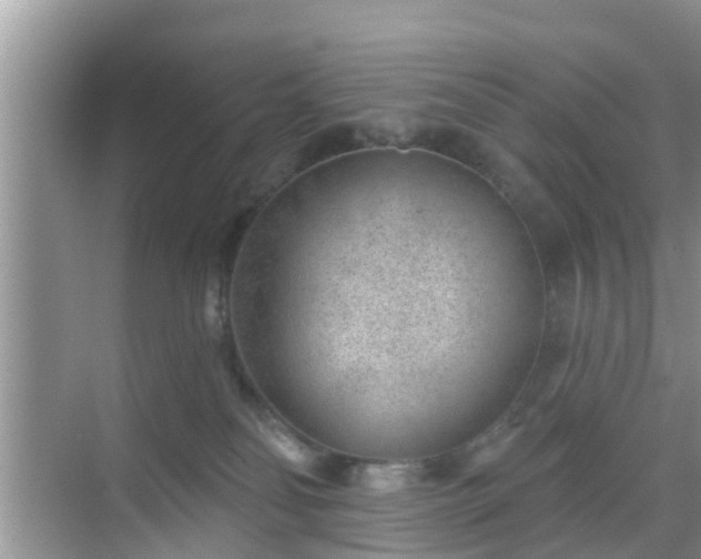 X0000069840134200605261916