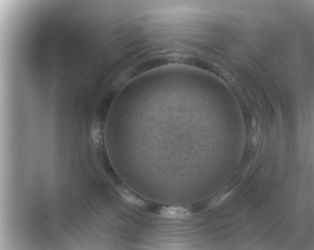 X0000069840137200605261916