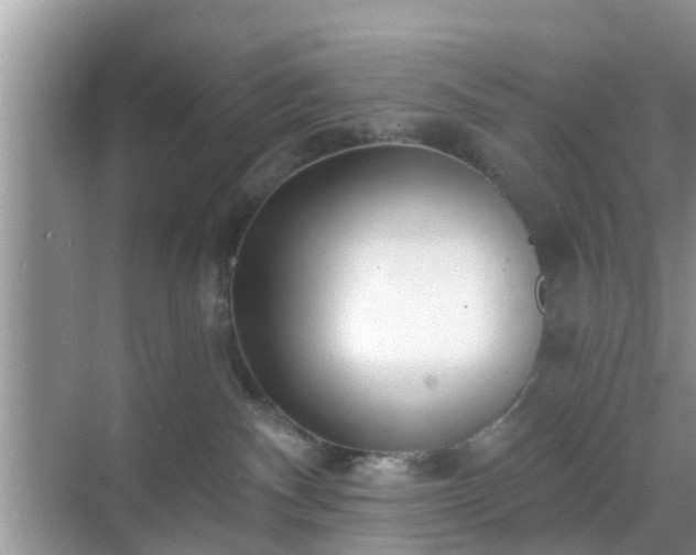 X0000069840140200605261916