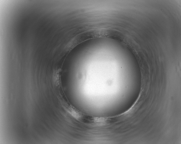 X0000069840144200605261916