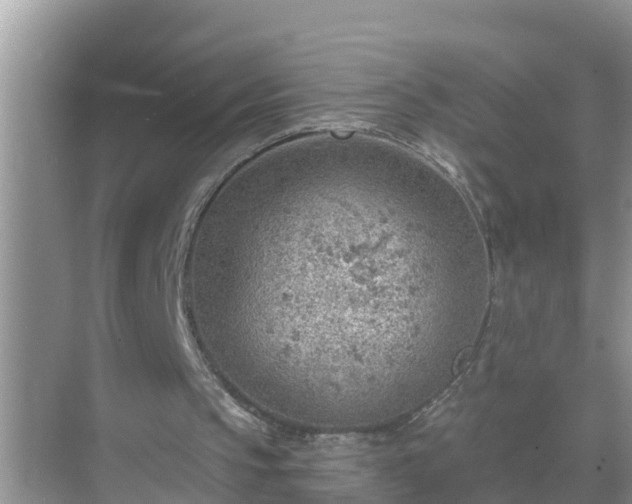 X0000069840145200605261915