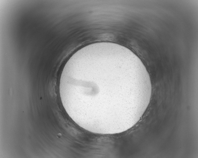 X0000069840146200605261916