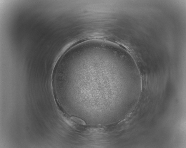 X0000069840147200605261916