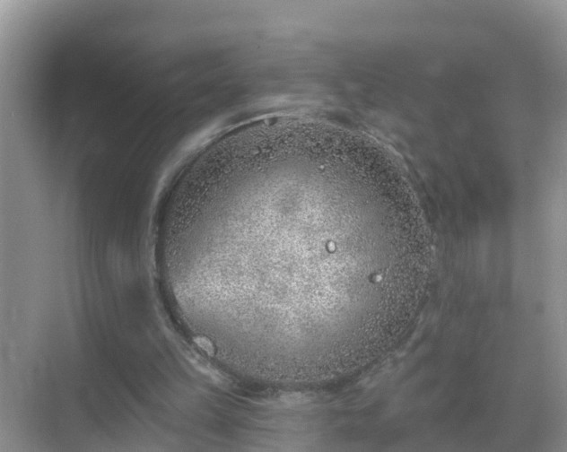 X0000069840149200605261916