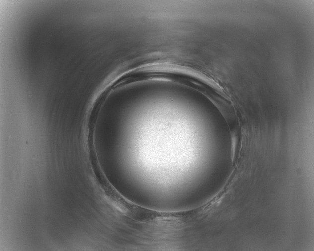 X0000069840150200605261916