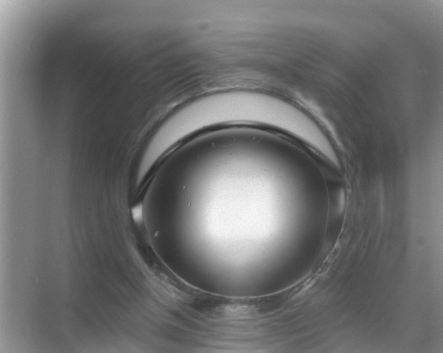 X0000069840154200605261916