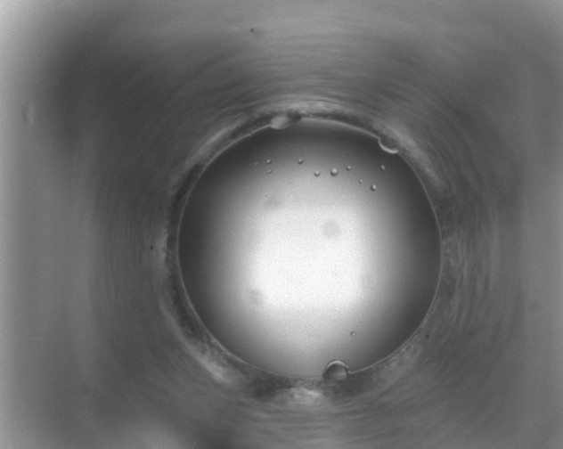 X0000069840159200605261916