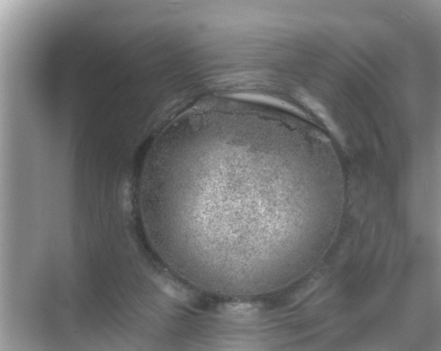 X0000069840161200605261916