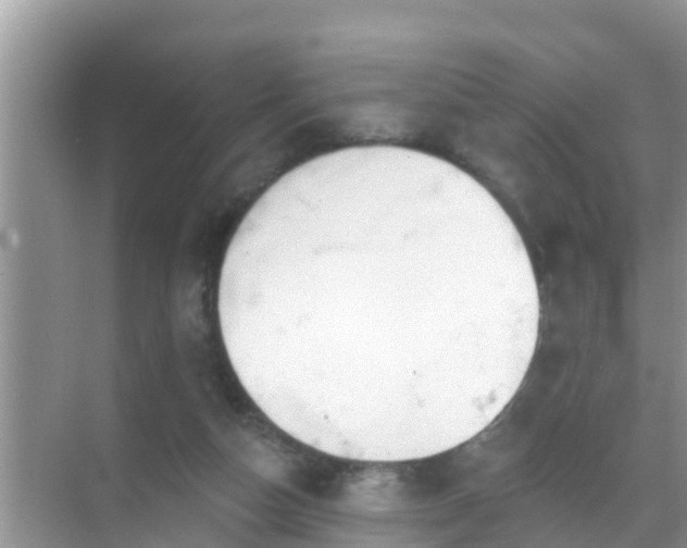 X0000069840162200605261916