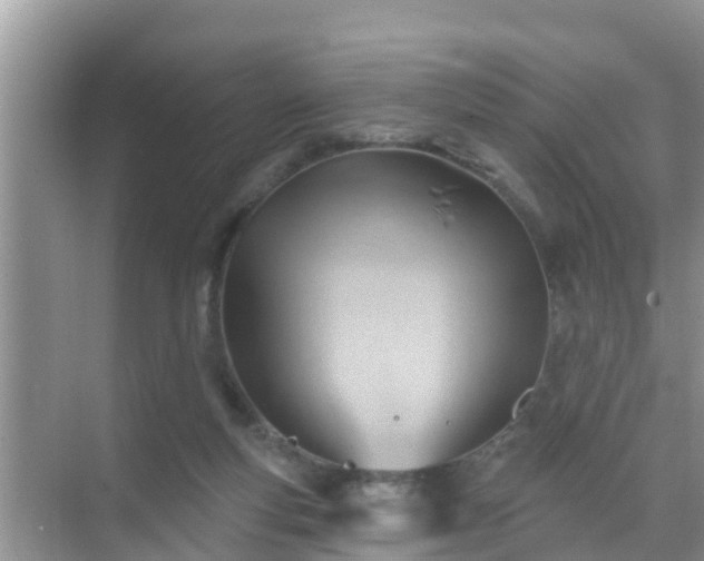 X0000069840163200605261916