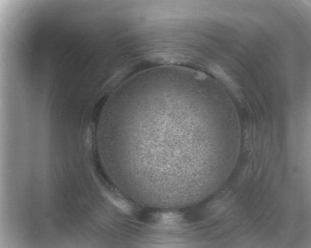 X0000069840165200605261916