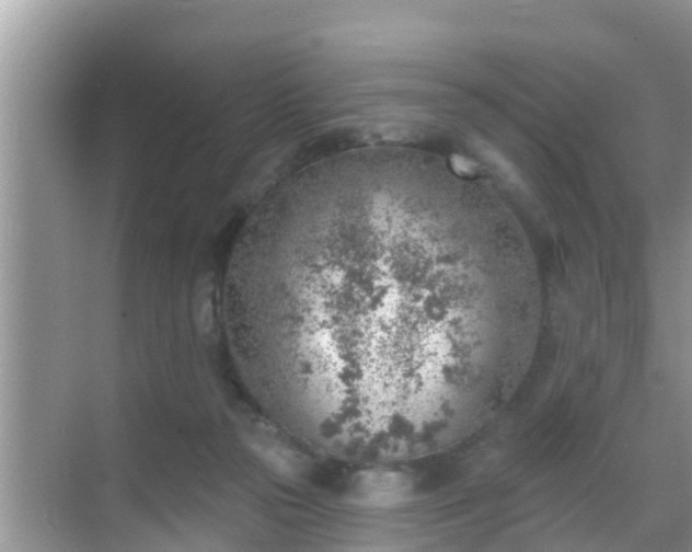 X0000069840169200605261916