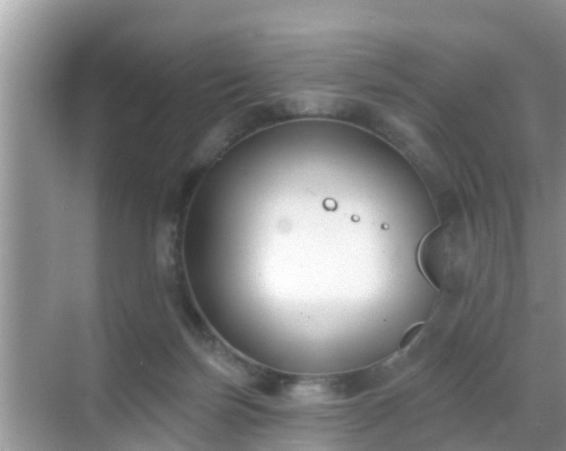 X0000069840171200605261916