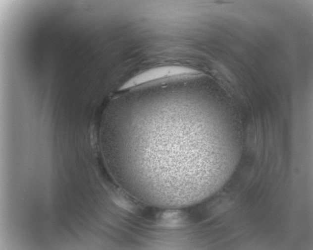 X0000069840173200605261916