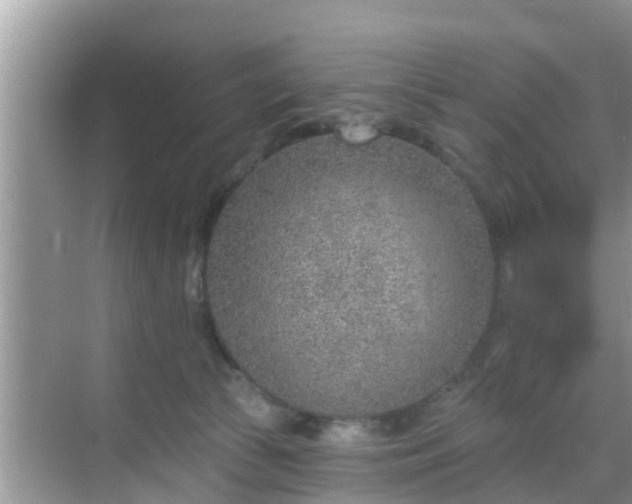 X0000069840177200605261916