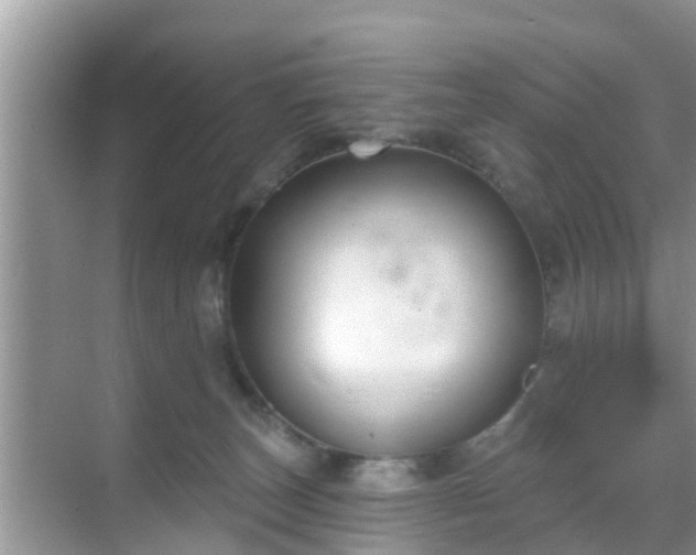 X0000069840179200605261916