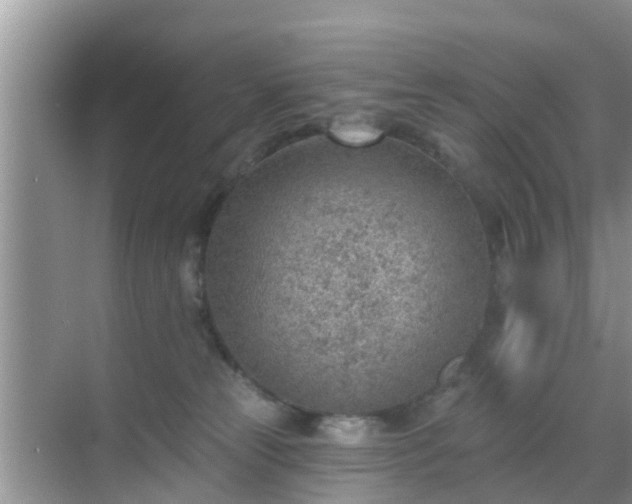 X0000069840181200605261916