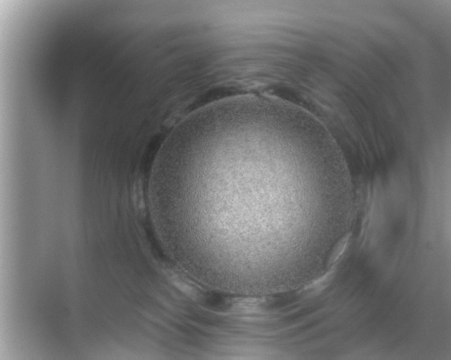 X0000069840182200605261916