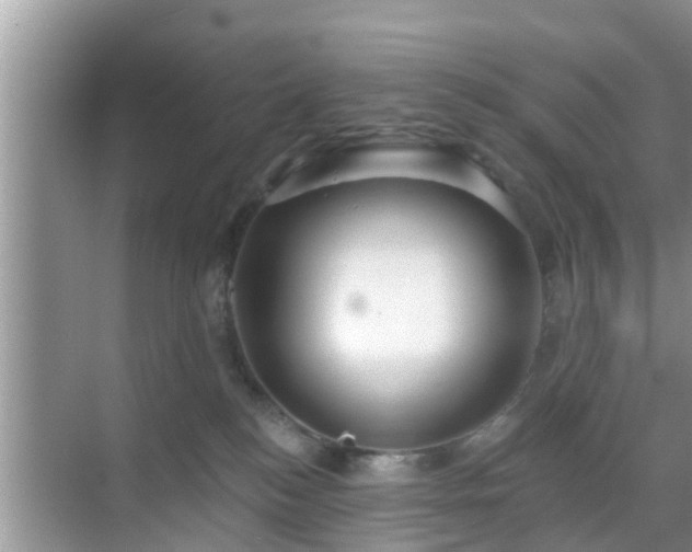 X0000069840184200605261916