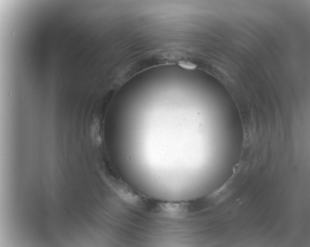 X0000069840187200605261916