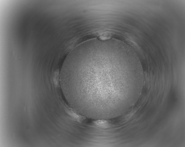 X0000069840189200605261916