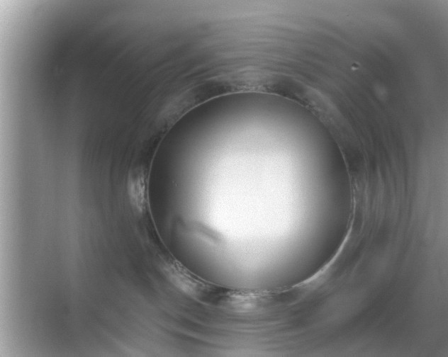 X0000069840190200605261916