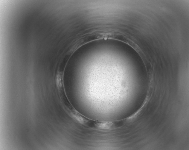 X0000069840191200605261916