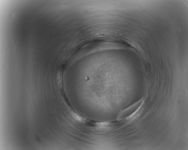 X0000069840192200605261916