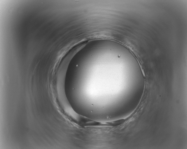 X0000069840193200605261915