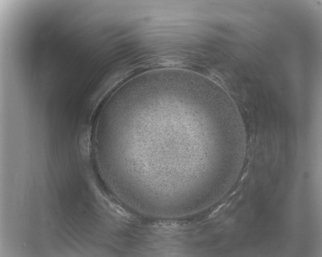 X0000069840194200605261915