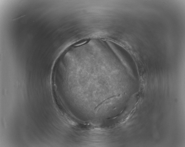 X0000069840196200605261915