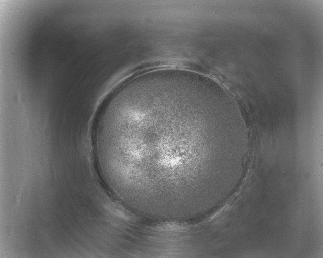 X0000069840198200605261915