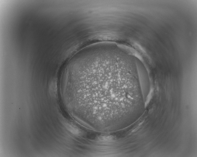 X0000069840202200605261915