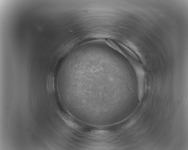 X0000069840205200605261915