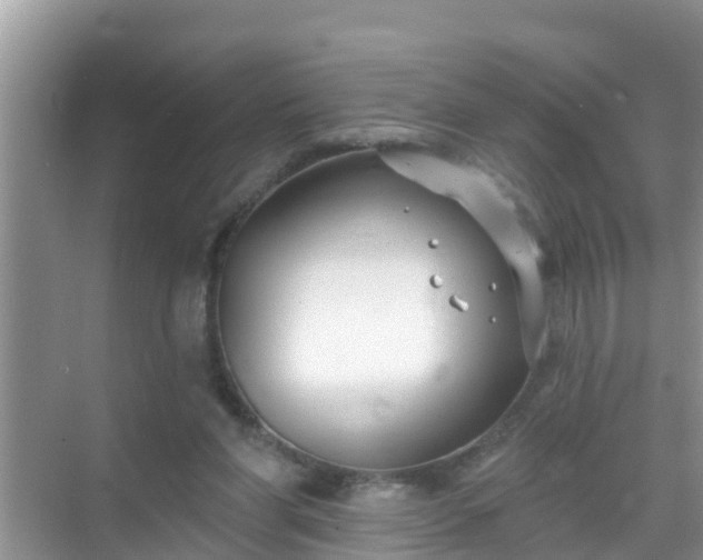 X0000069840206200605261915