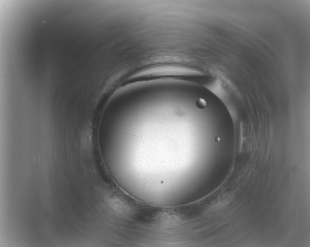 X0000069840207200605261915