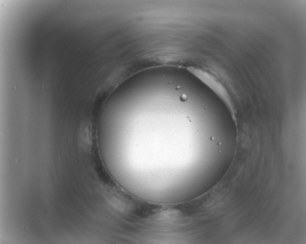 X0000069840210200605261915