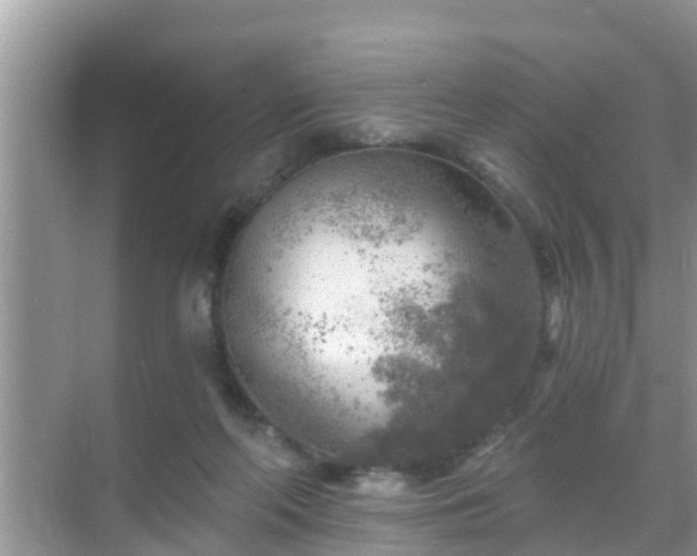 X0000069840214200605261915