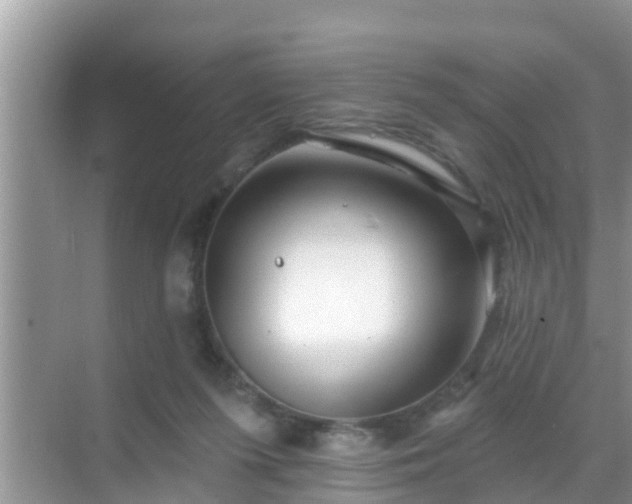 X0000069840215200605261915