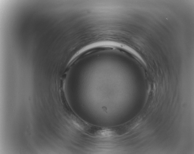 X0000069840219200605261915