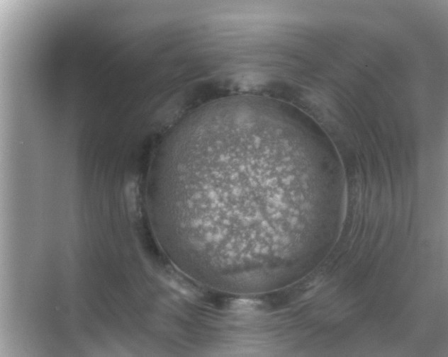 X0000069840222200605261915