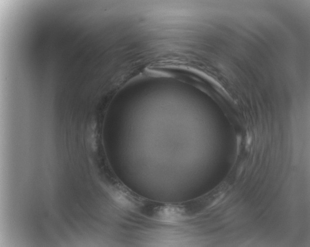 X0000069840223200605261915