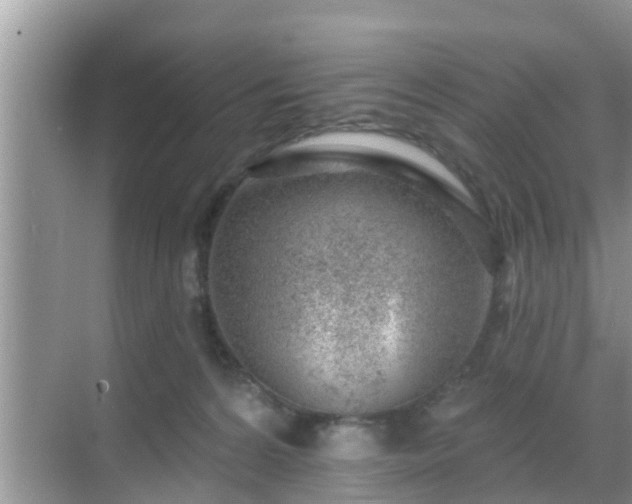 X0000069840224200605261915