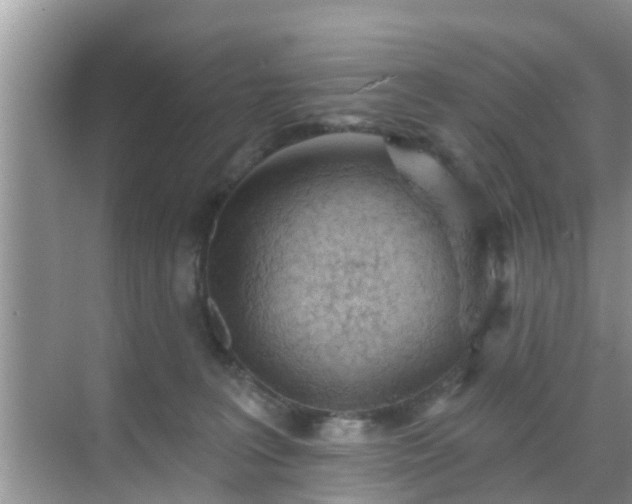 X0000069840227200605261915