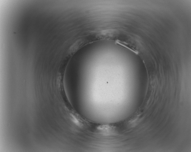 X0000069840231200605261915