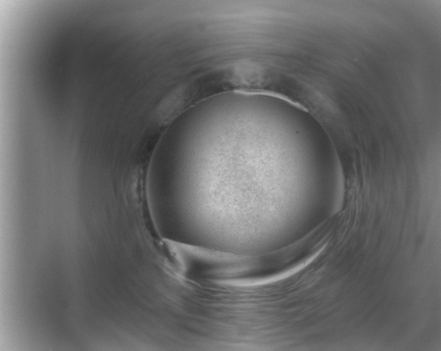 X0000069840233200605261915